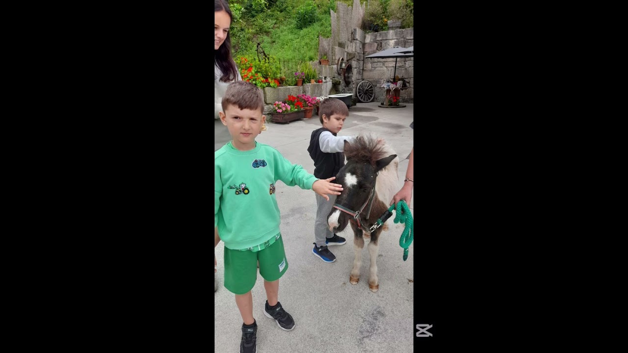 Alumnado de Educación Infantil de excursión de fin de curso á Eco Granxa Rio Mouro en Poio