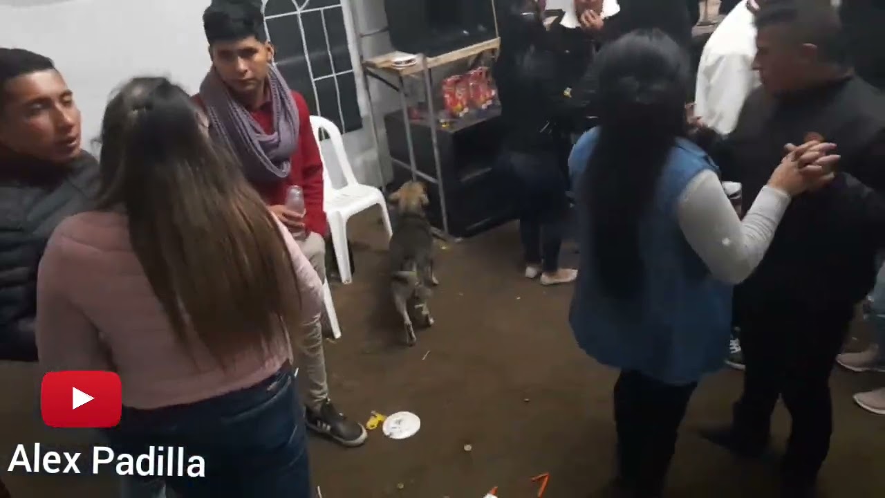 Los Latinos Del Amor- Familia Padilla Sangucho Ramospamba  16/7/2022
