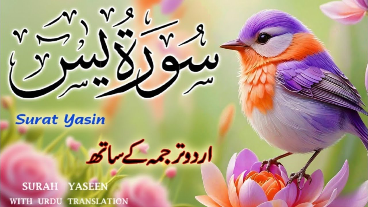Surah Yaseen Urdu & Hindi Translation | Spiritual Tilawat by Qari Ismail Al Nouri | Episode 373