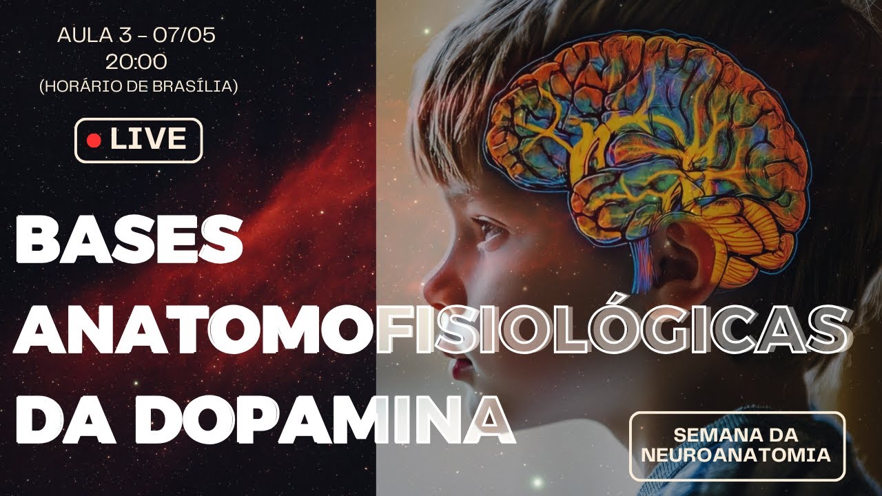 Bases Anatomofisiológicas da DOPAMINA