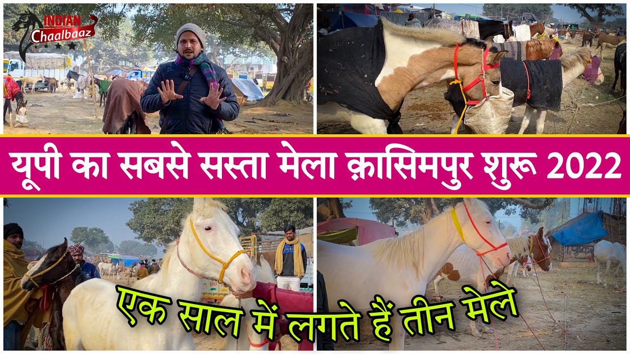 यूपी का सबसे सस्ता मेला क़ासिमपुर शुरू एक साल में लगते हैं तीन मेले Kasimpur Mela 2022