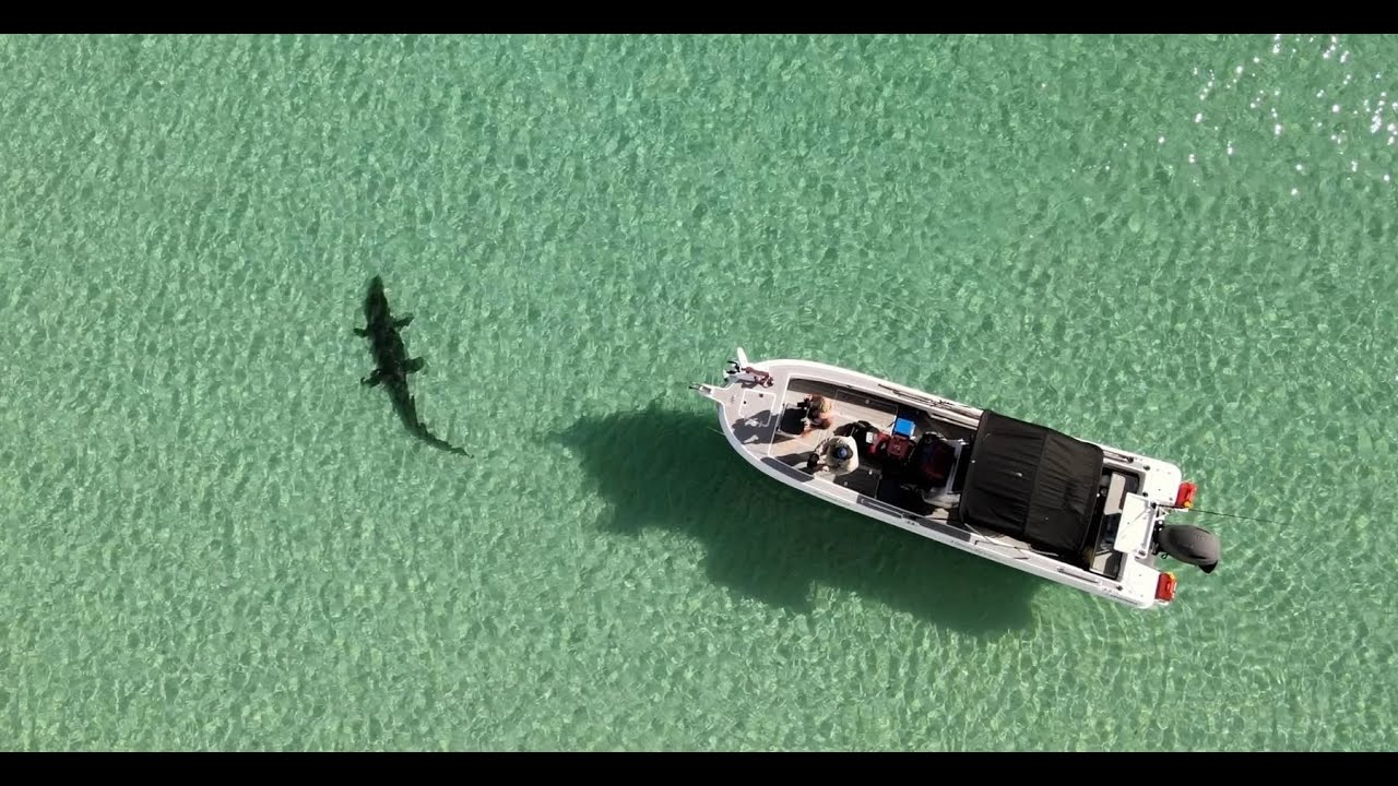 Solo Boat Adventure 180kms down Cape York
