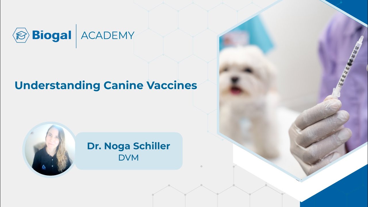 Understanding Dogs' Vaccines