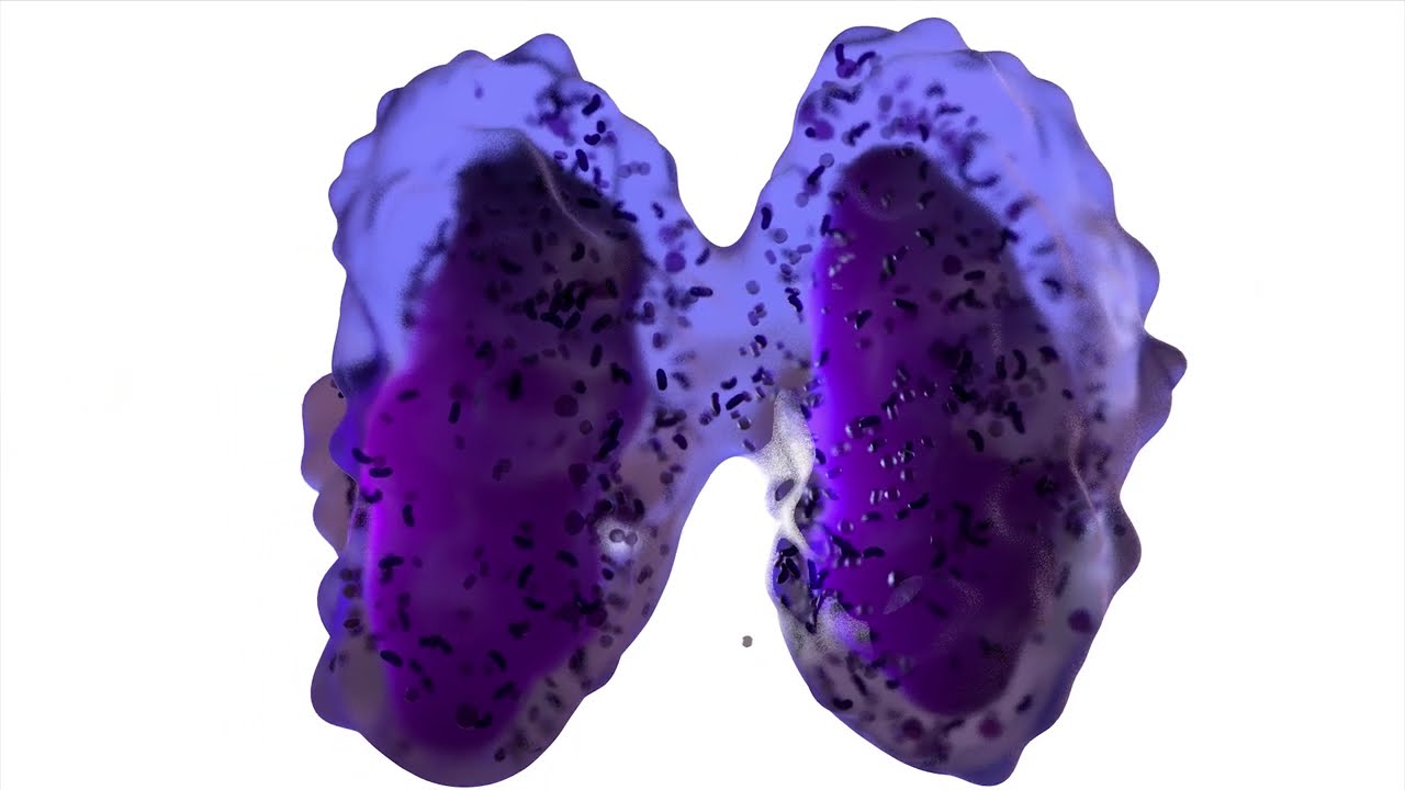 biolution 3D Molecular Models: Stunning Stills Demo Reel