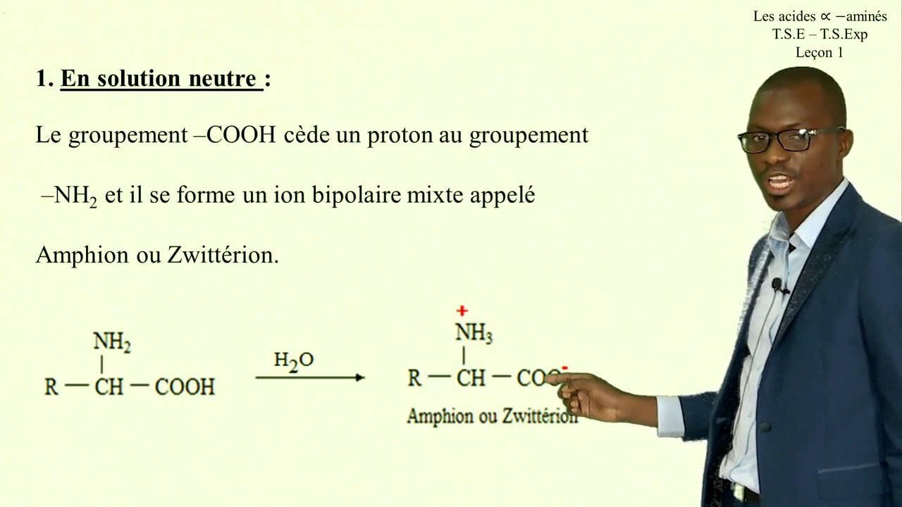 Les acides aminés