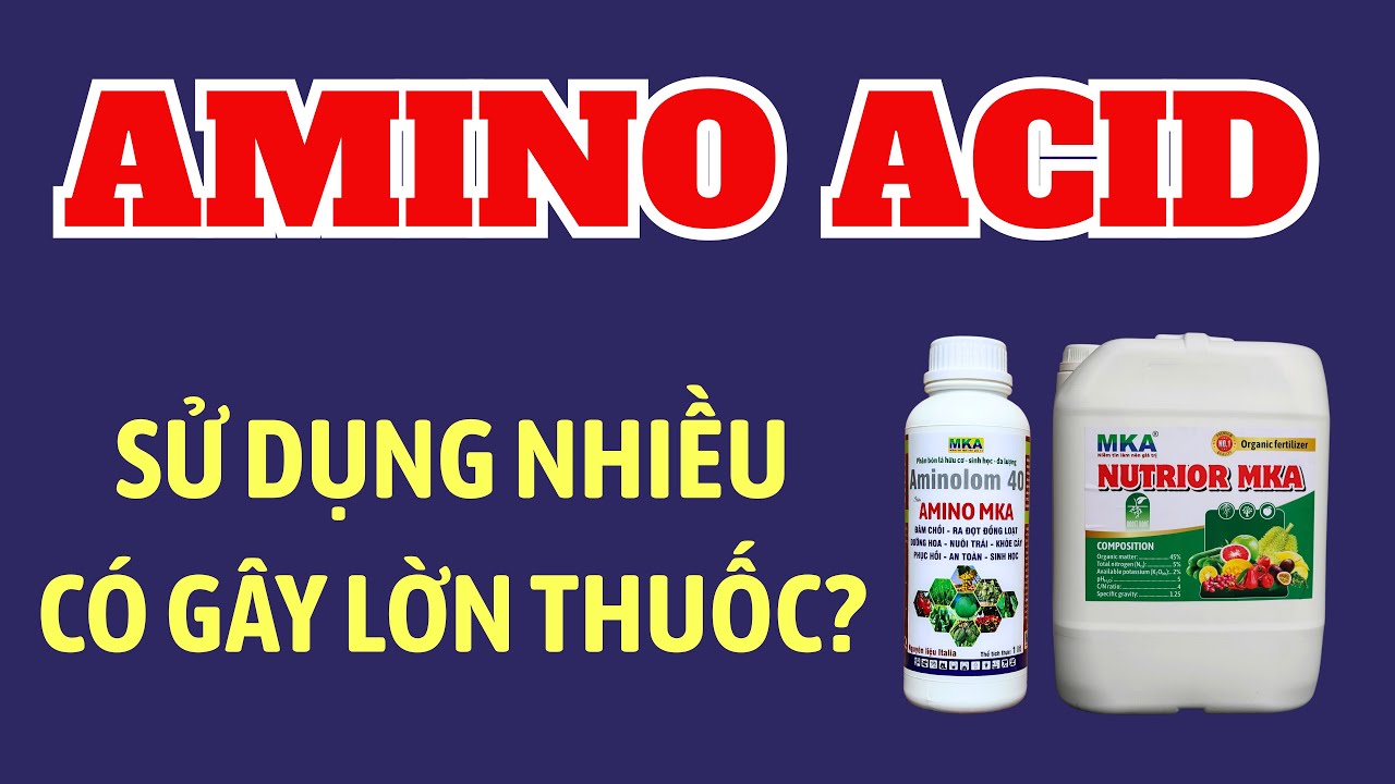 Amino acid xài nhiều lần có lờn thuốc không? Sử dụng như thế nào hiệu quả?