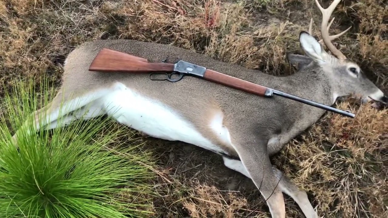 #10 of 10 guns in 10 day model 53 25-20 win￼