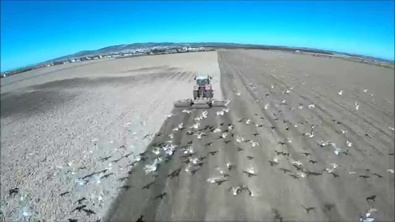 Michael O' Halloran & Sons planting corn. Tillage in Kerry 2015 (Part 1)