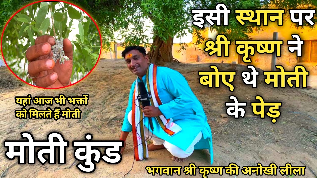 यहीं श्री कृष्ण ने उगाये थे मोती के पेड़ , आज भी झड़ते हैं पेड़ों से मोती || moti kund || Braj Mahima||