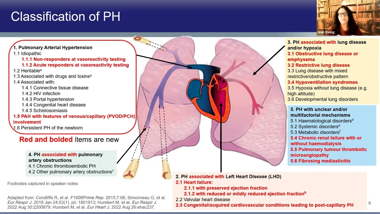 Pulmonary Arterial Hypertension: The Diagnosis You Don't Want to Miss