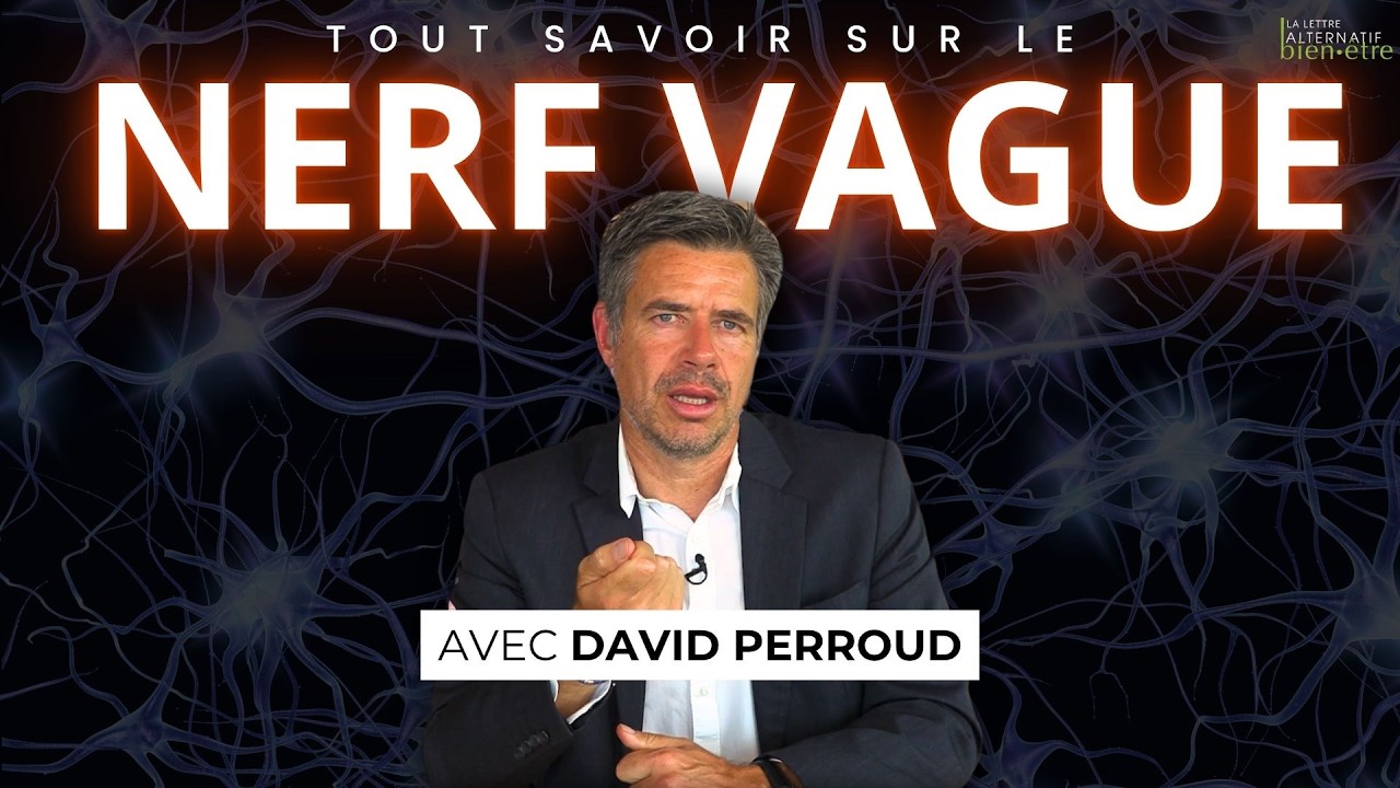 Nerf Vague : Le guide ultime contre l’anxiété - David Perroud