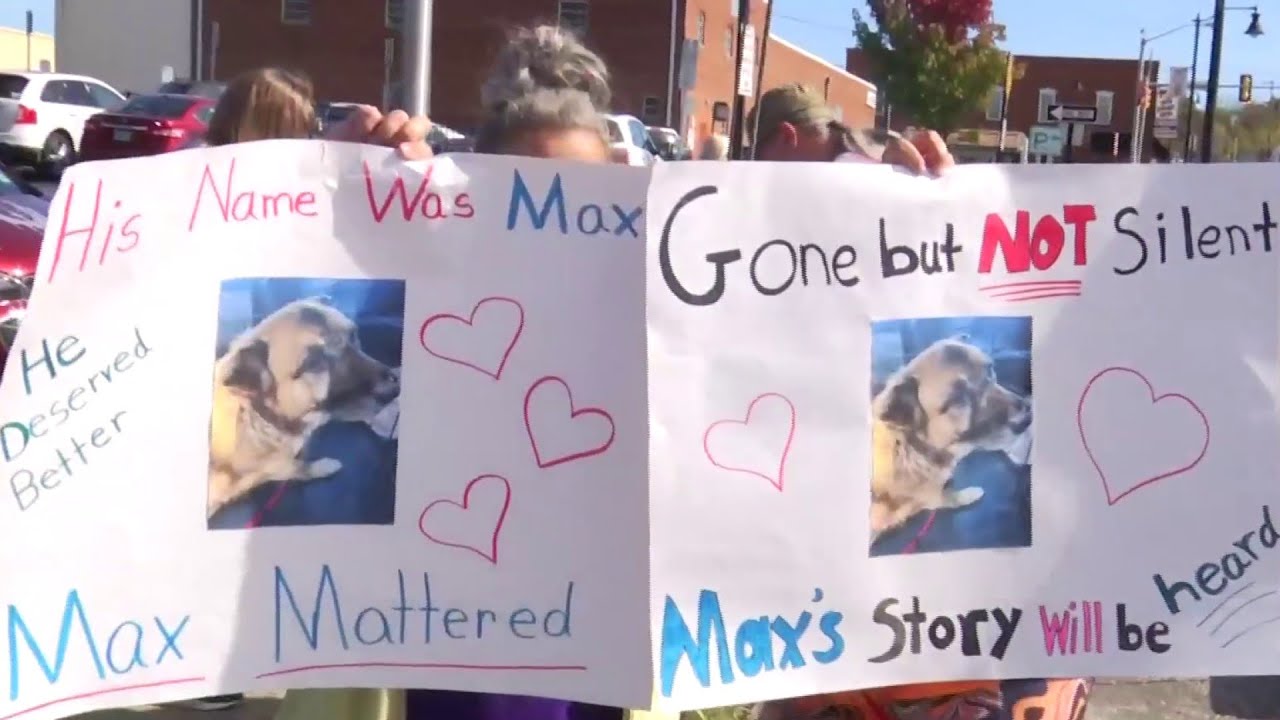 Animal advocates hold 