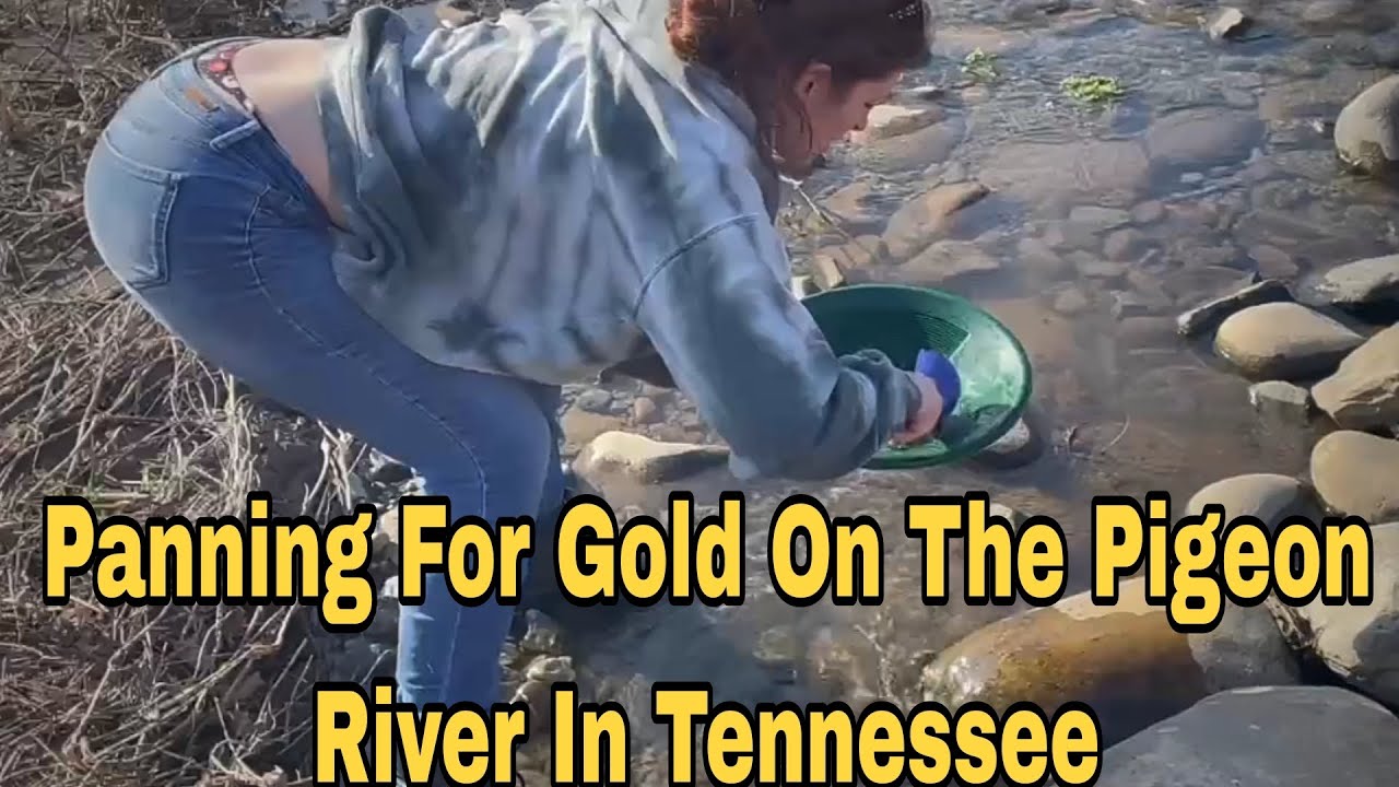 Panning For Gold On The Pigeon River In Tennessee 
