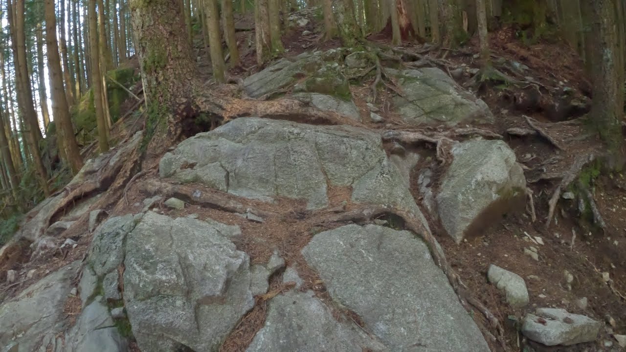 This trail kicked my a$$ ( I had no business being here )