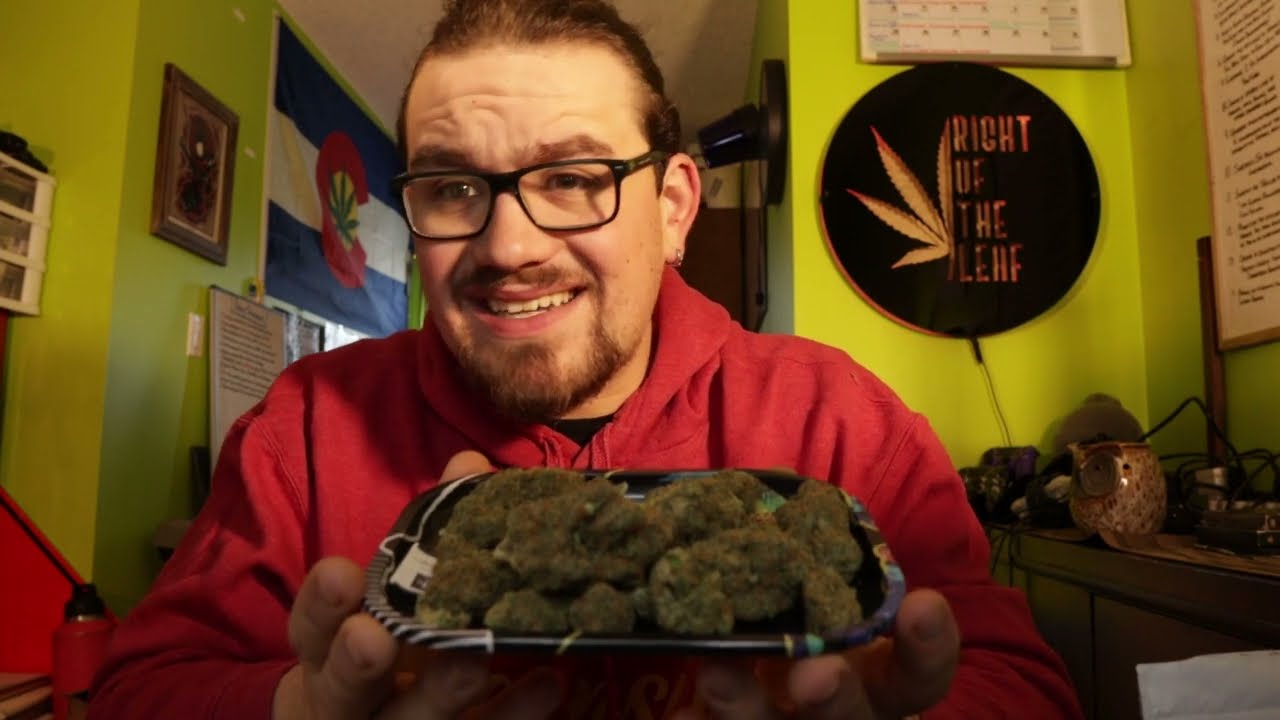 King Tut by HyBrix Farms|BeBlunt Collective One Hitter Weed Review