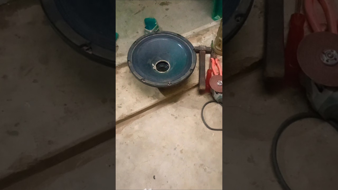 12 inch 300watt speaker Days 