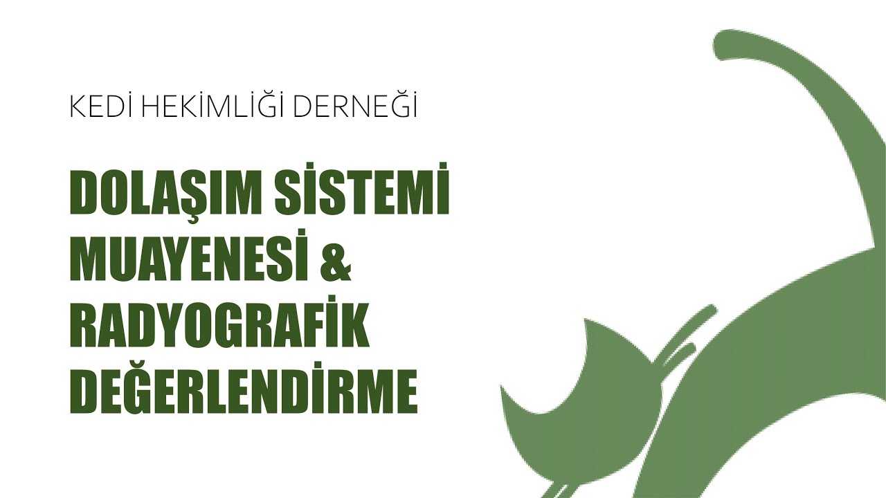 Dolaşım Sistemi Muayenesi & Radyografik Değerlendirme - Dr. Onur İskefli