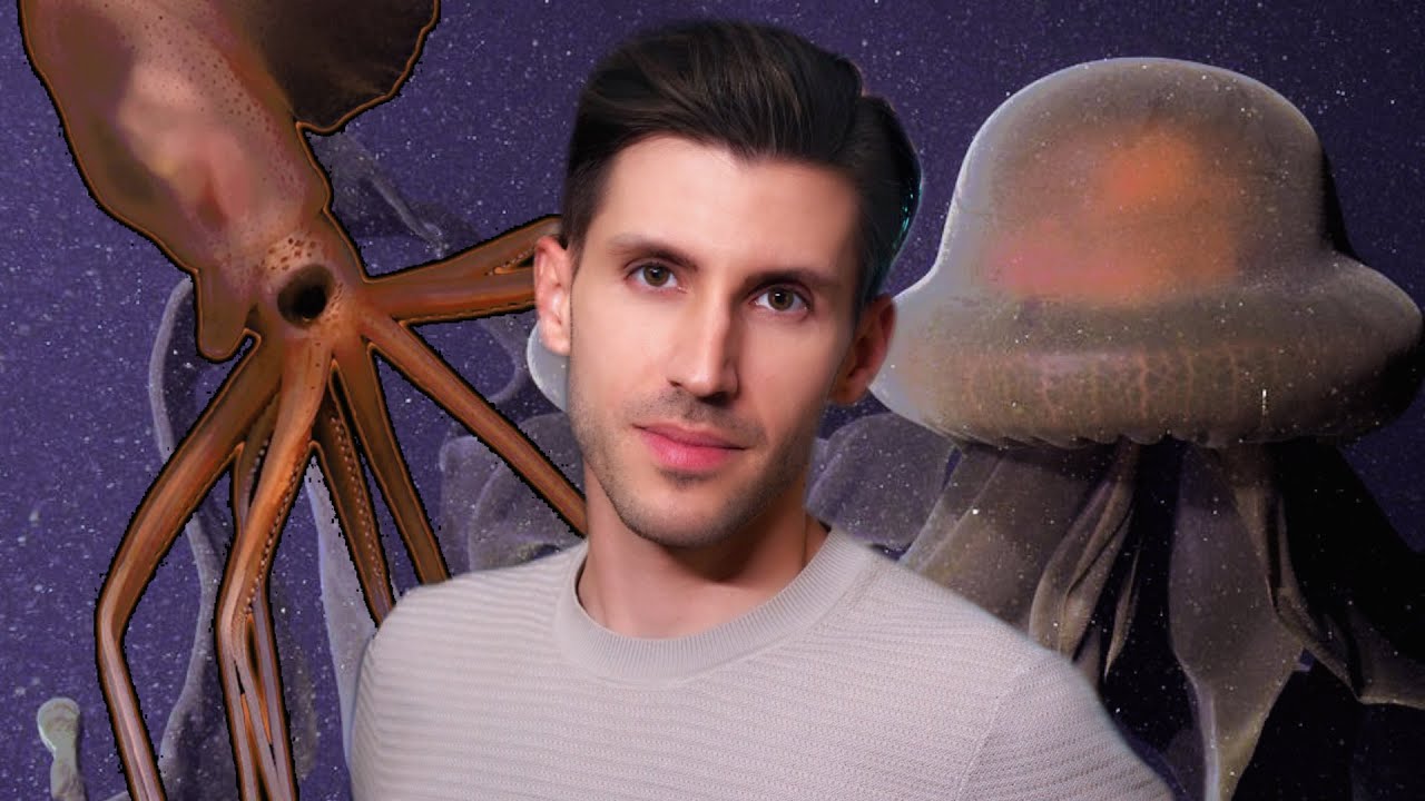 Óriás tintahal vs. Fantom medúza 🦑