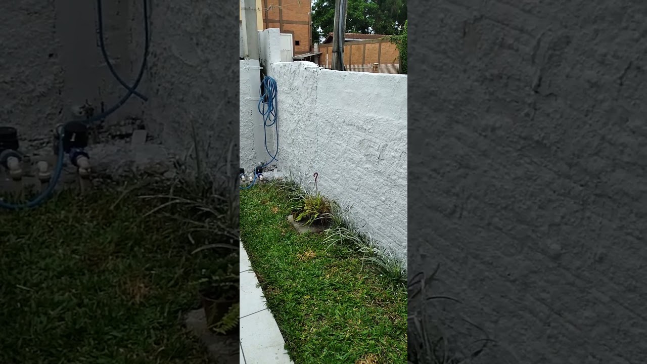 Como pintar o muro com cal #youtubeshorts