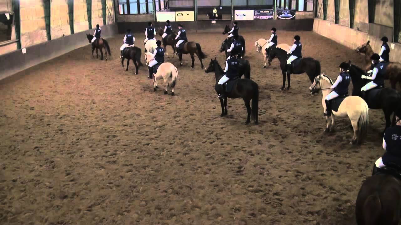 Uitwisseling tussen manege de Paardenhof en manege Bleijenberg 22-03-2013