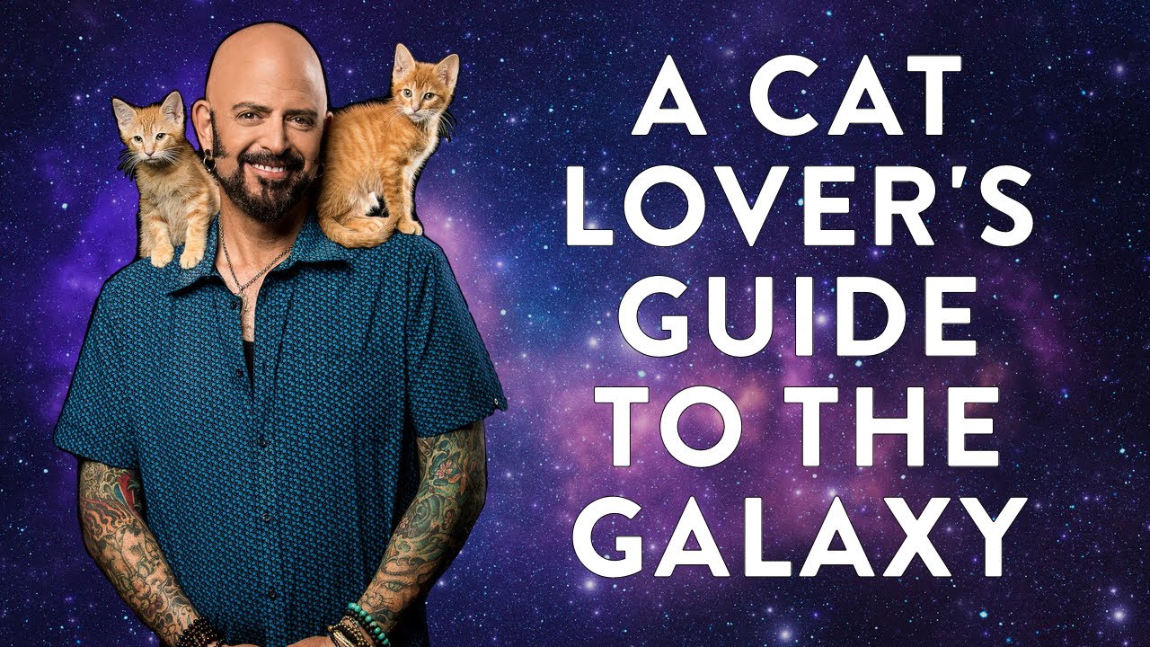 A Cat Lover's Guide to the Galaxy!