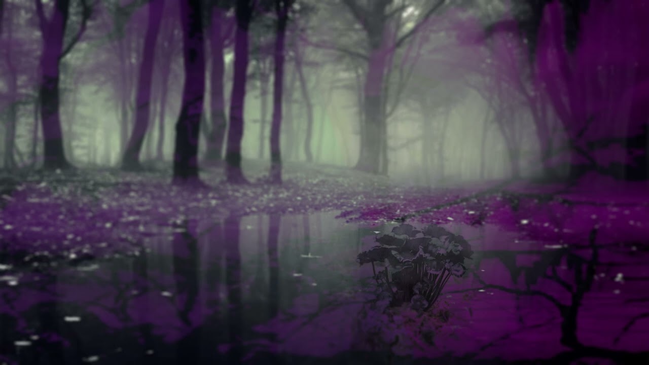 DJ Ashtray - Mystical Forest Instrumentals