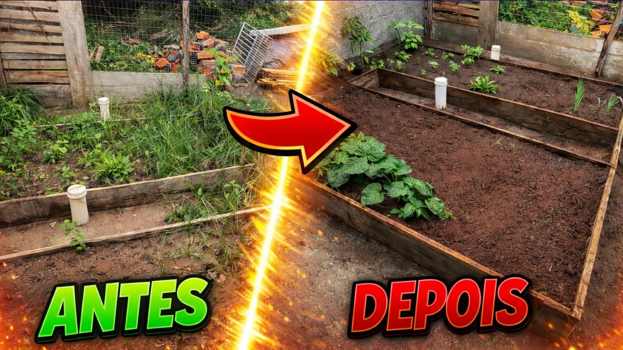 nossa horta estava um caos!