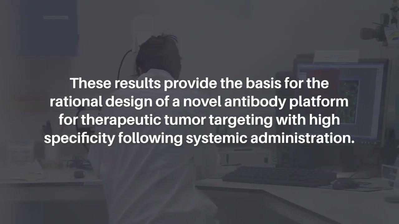 Next-Gen Cell-Penetrating Antibodies for Tumor Targeting and RAD51 Inhibition | Oncotarget