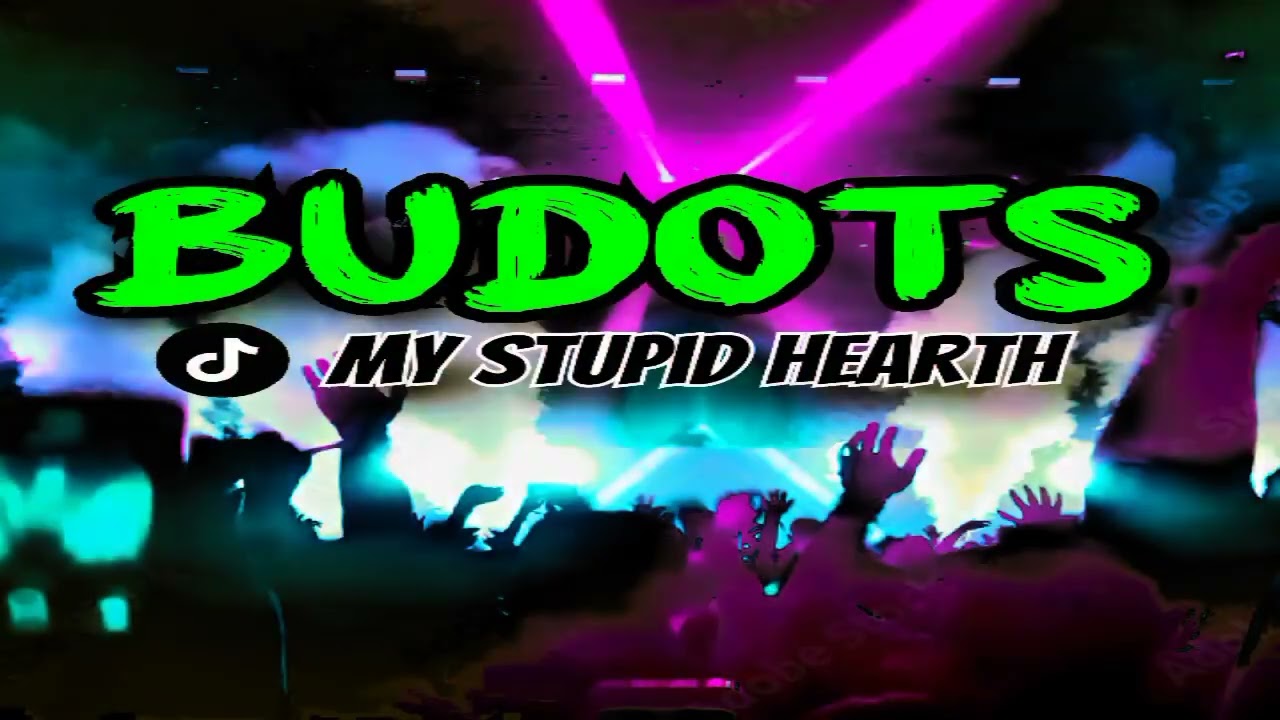 TIKTOK BUDOTS STUPID HEARTH 2023|DJ KRZ REMIX|DJ JAMES OFFICIAL