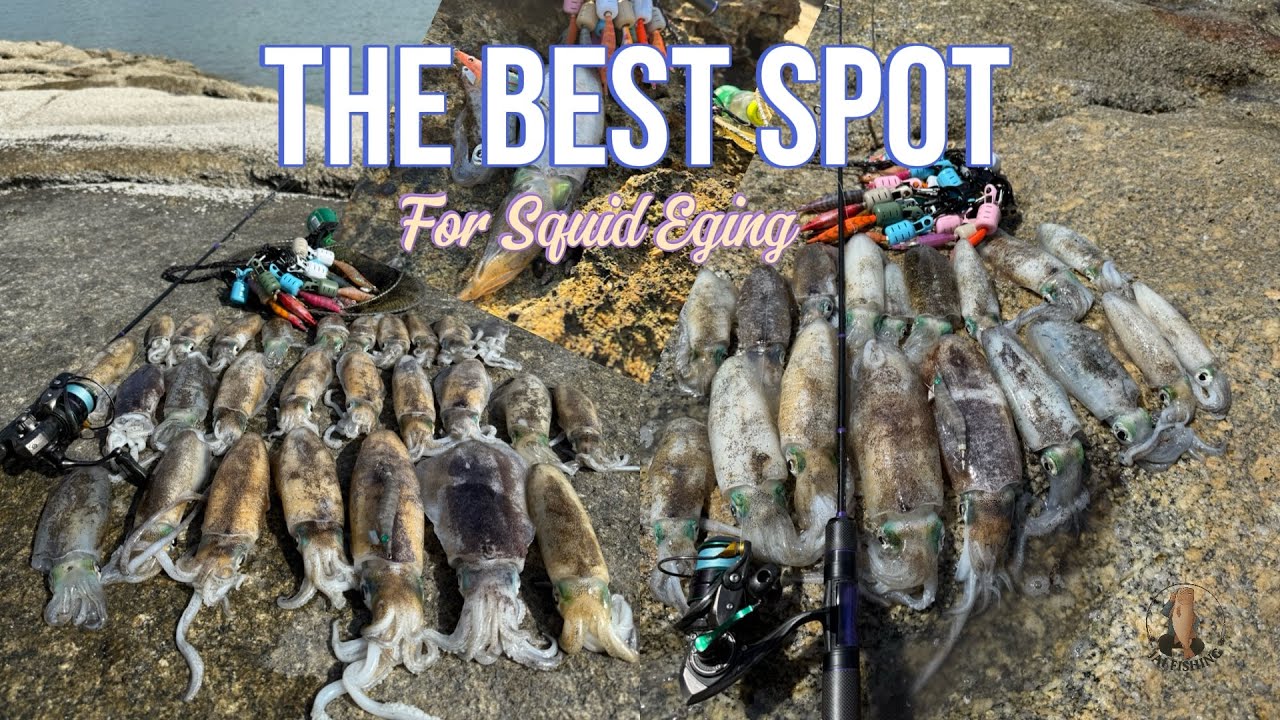 The Best Spot For Squid Eging(Landbase)