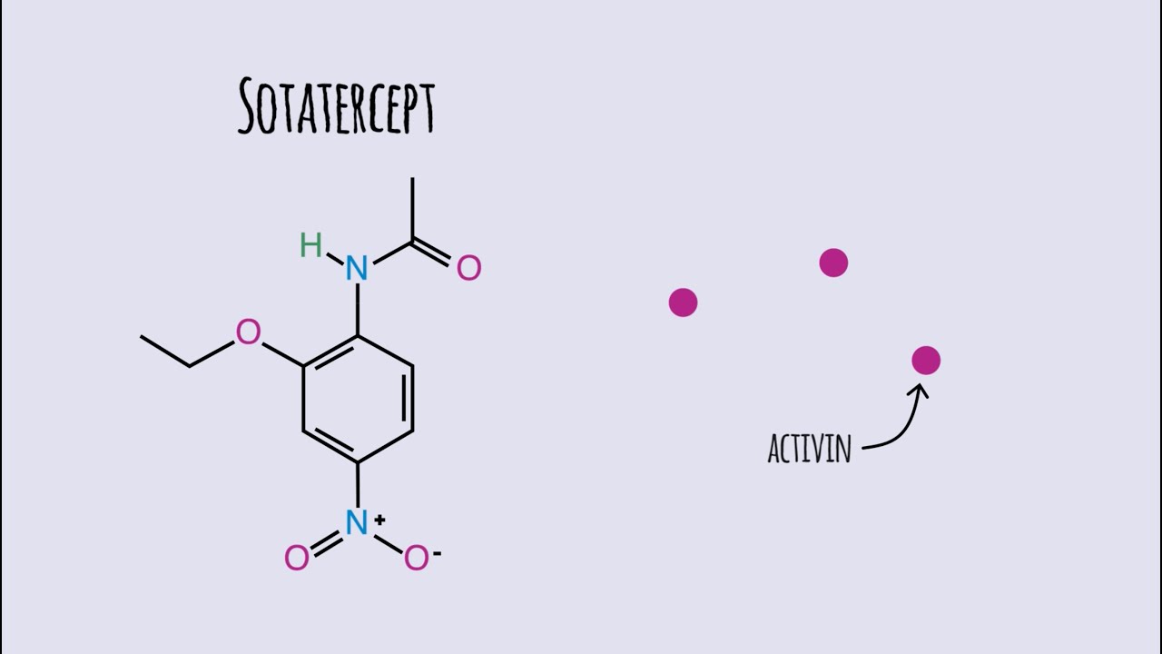 Sotatercept: How the latest PAH treatment works