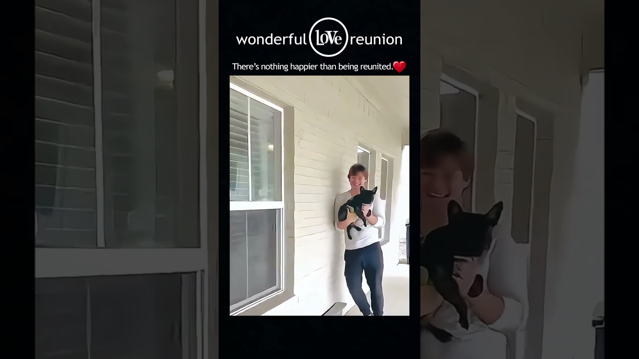 #surprise #move #emotional