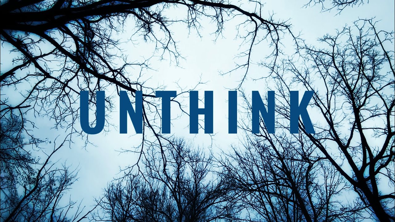 UNTHINK — Deep Fog & Morning Birdsong (2 Hour Forest Ambience for Sleep, Study, Meditation) 