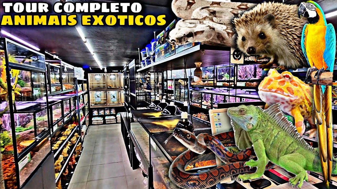 TOUR COMPLETO NO NOVO SETOR DE ANIMAIS EX&Oacute;TICOS DA ECOTOP!
