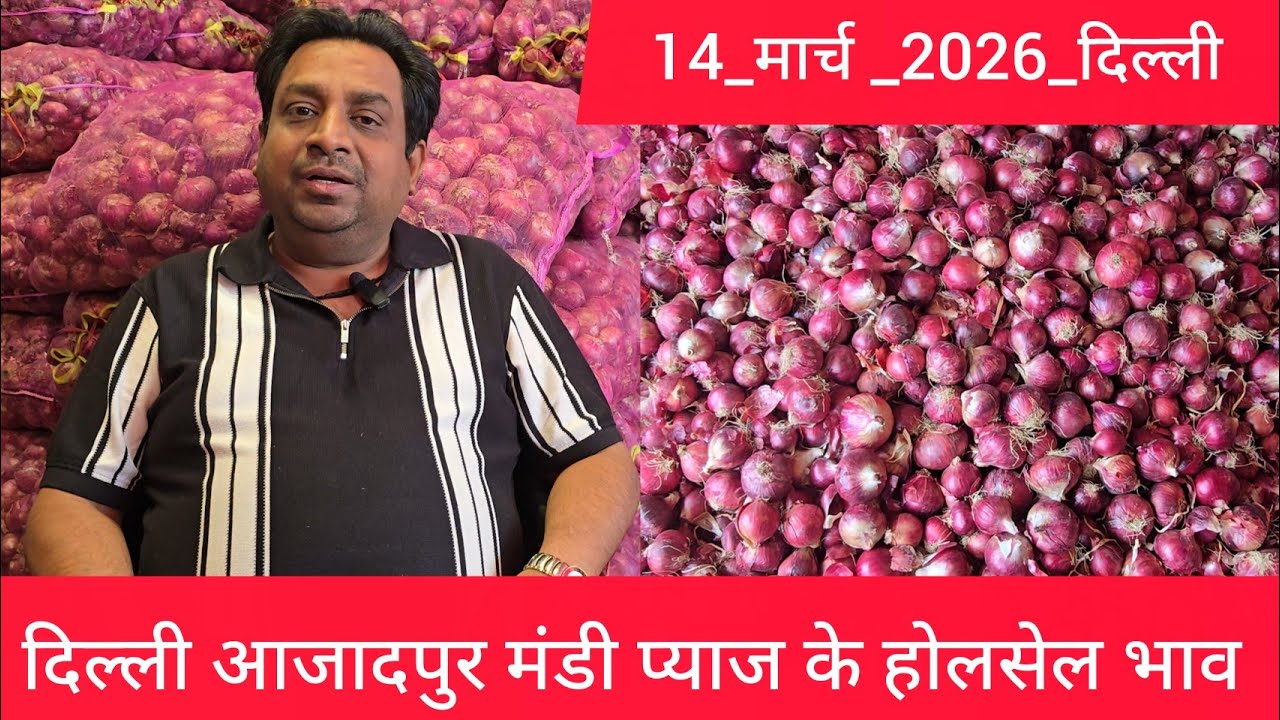 March 14, 2026 दिल्ली 🧅प्याज के होलसेल भाव azadpur delhi mandi onion market price #onionmarket