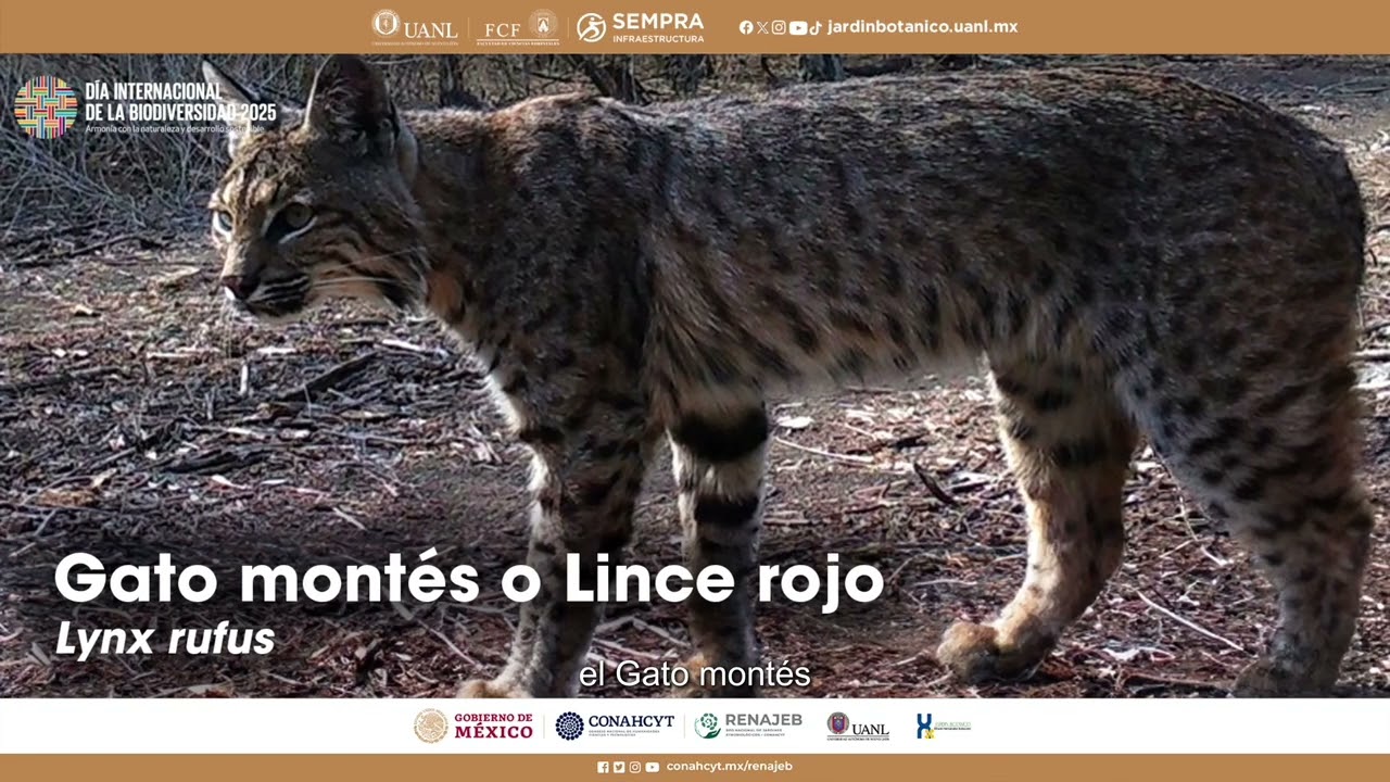Día Internacional de la Diversidad Biológica