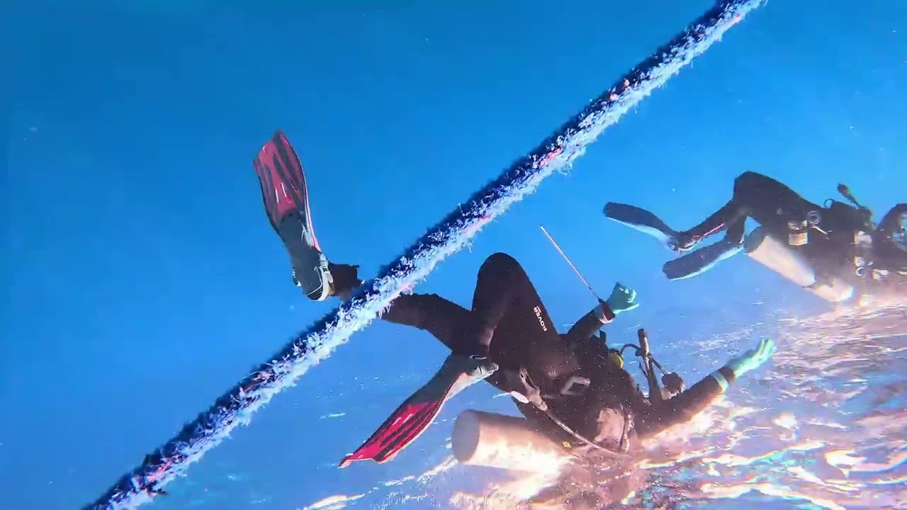 2-3-26 raw dives