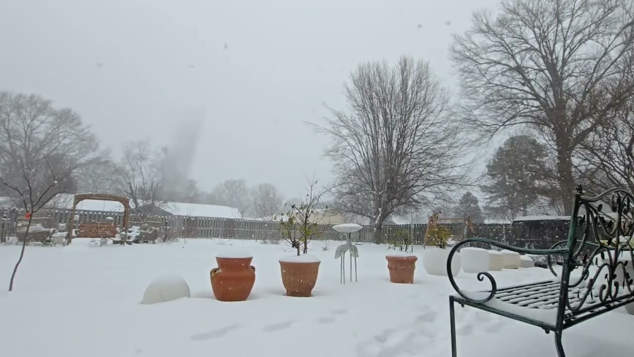 Winter Storm  ❄️ 🌨 😱 🥶 1-24-2026 