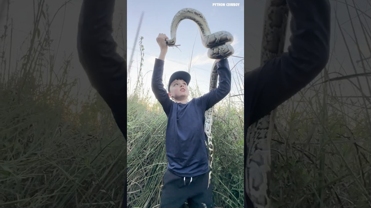 BEST REACTION EVER | Kid Grabs Python Like a Pro