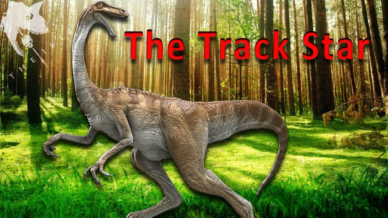 A Solo Gallimimus Experience | Gallimimus Gameplay | The Isle Evrima Update 6.5