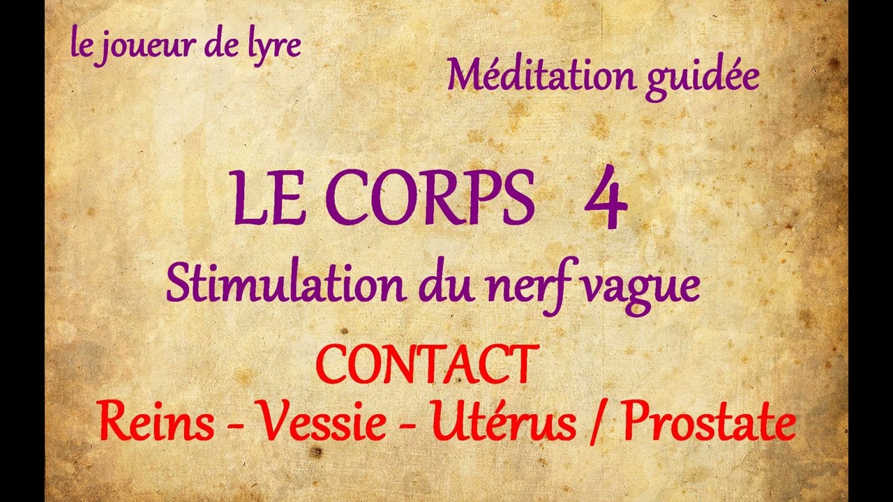 Je stimule le nerf vague, je prends soin de mes reins, vessie, utérus/prostate.