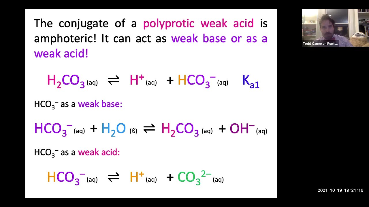 Acid Basics! – A Guide to Identifying Acids and Bases!