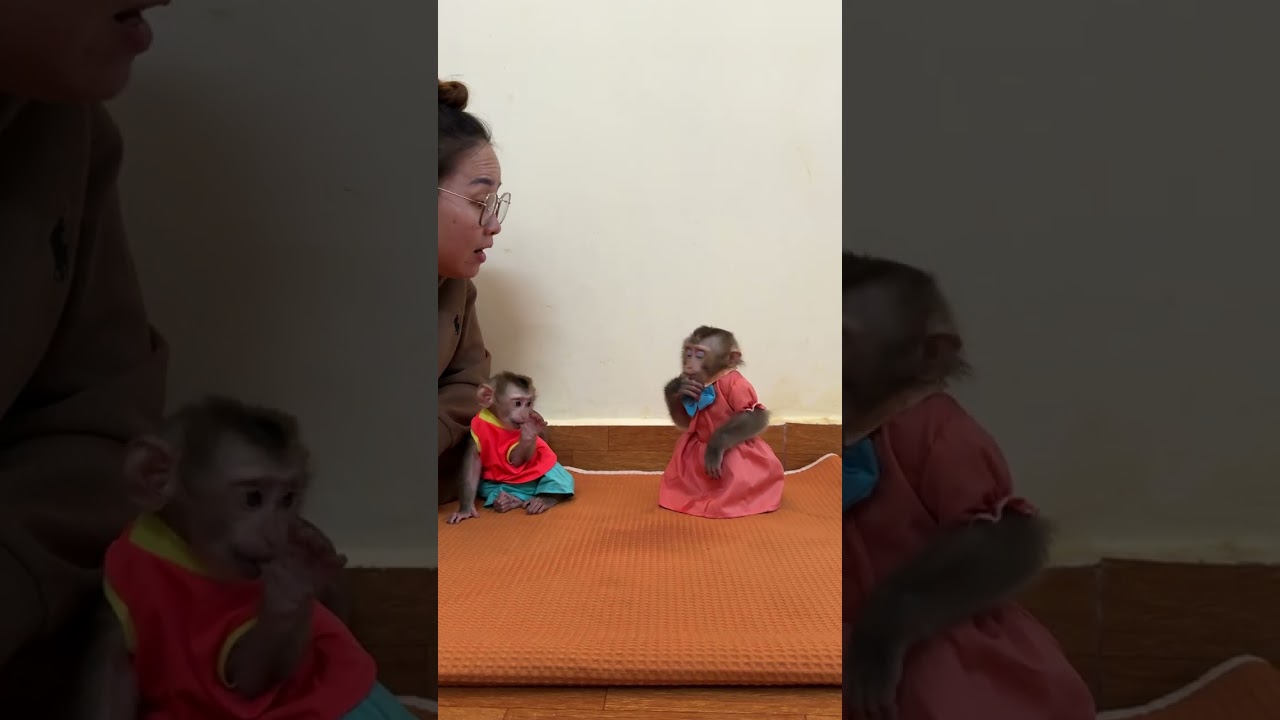 Smart Brother & Sister