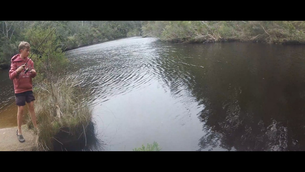 Fishing in Ansons River.