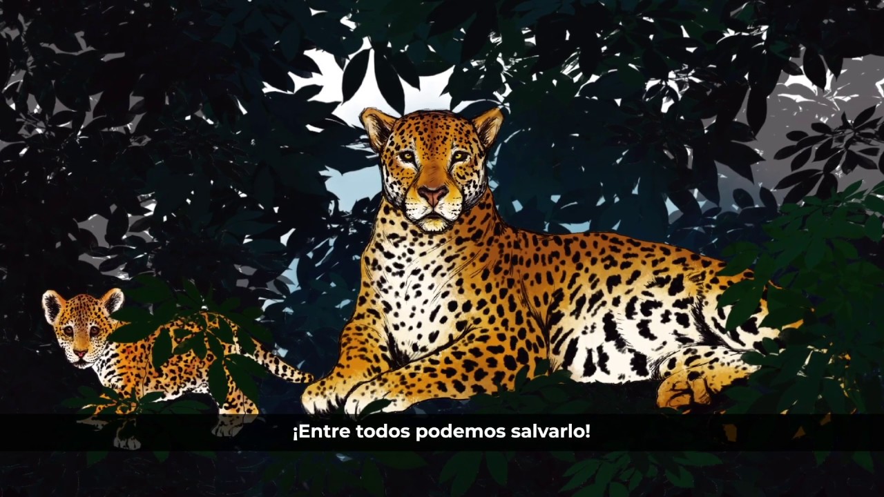 Leyenda maya del jaguar