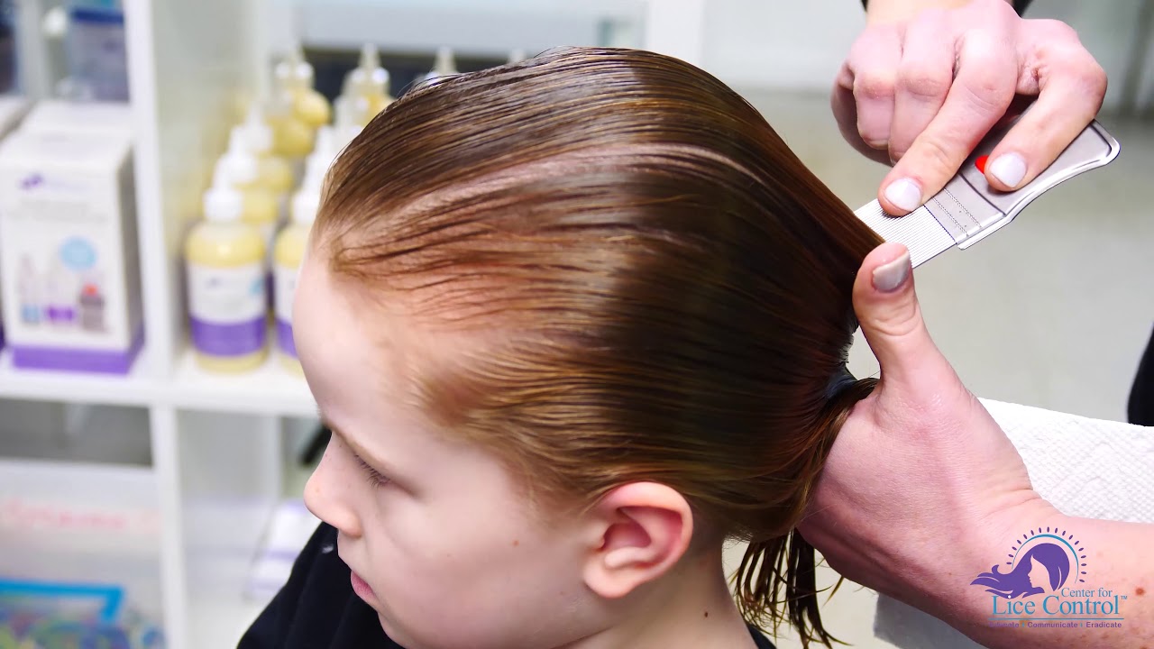 Easy Ponytail Combing Lice Check for Medium to Long Hair