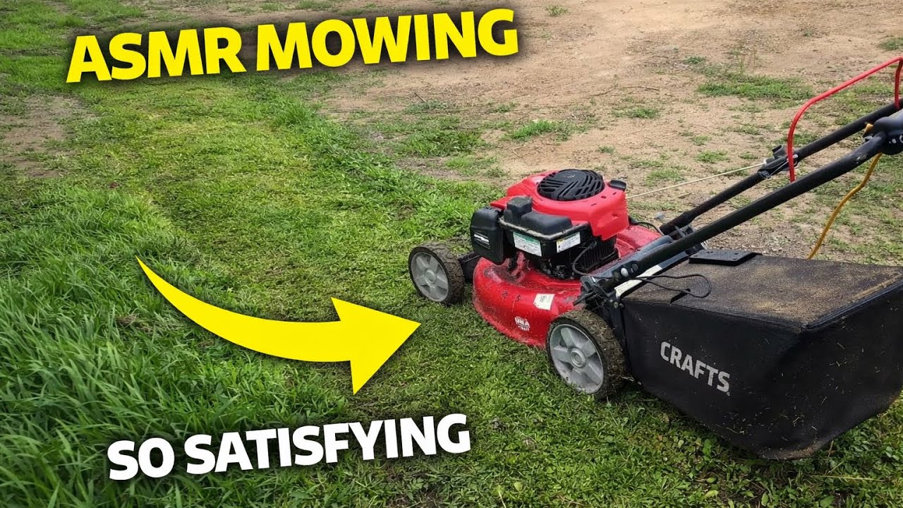 Craftsman M110 Mowing ASMR