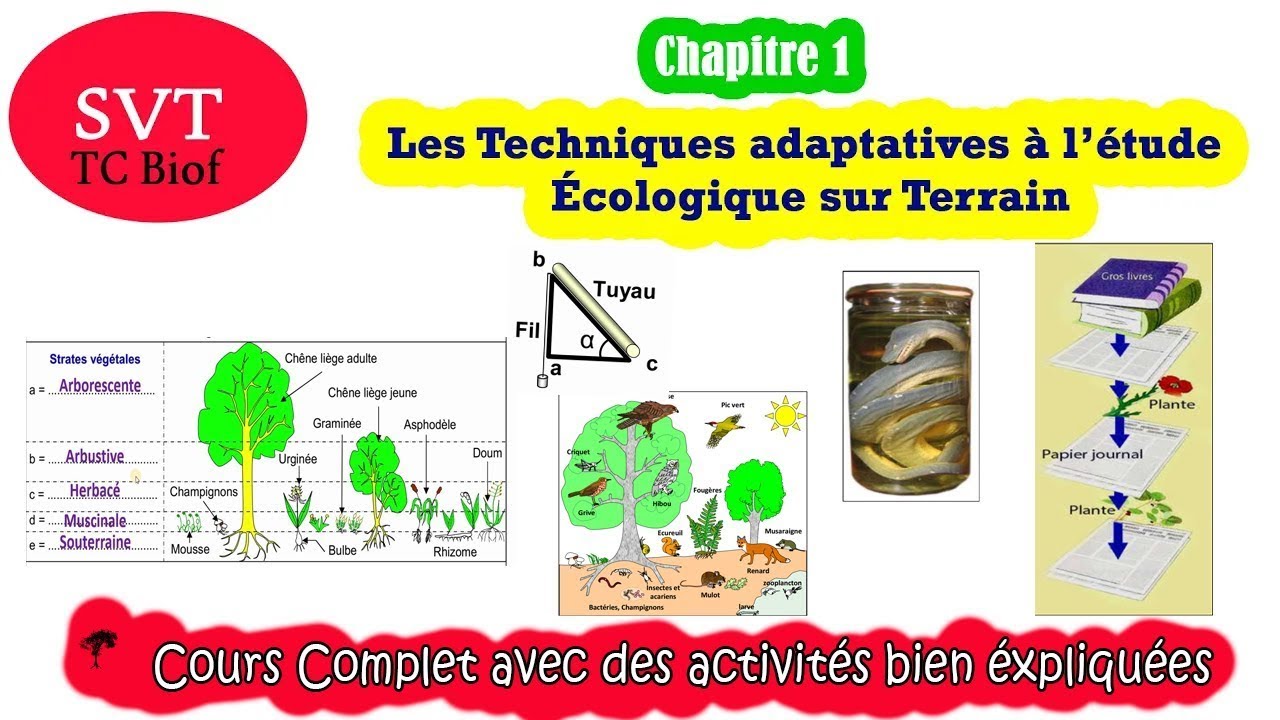 TC Biof | SVT | Les Techniques adaptatives à l’étude Écologique sur Terrain  |
