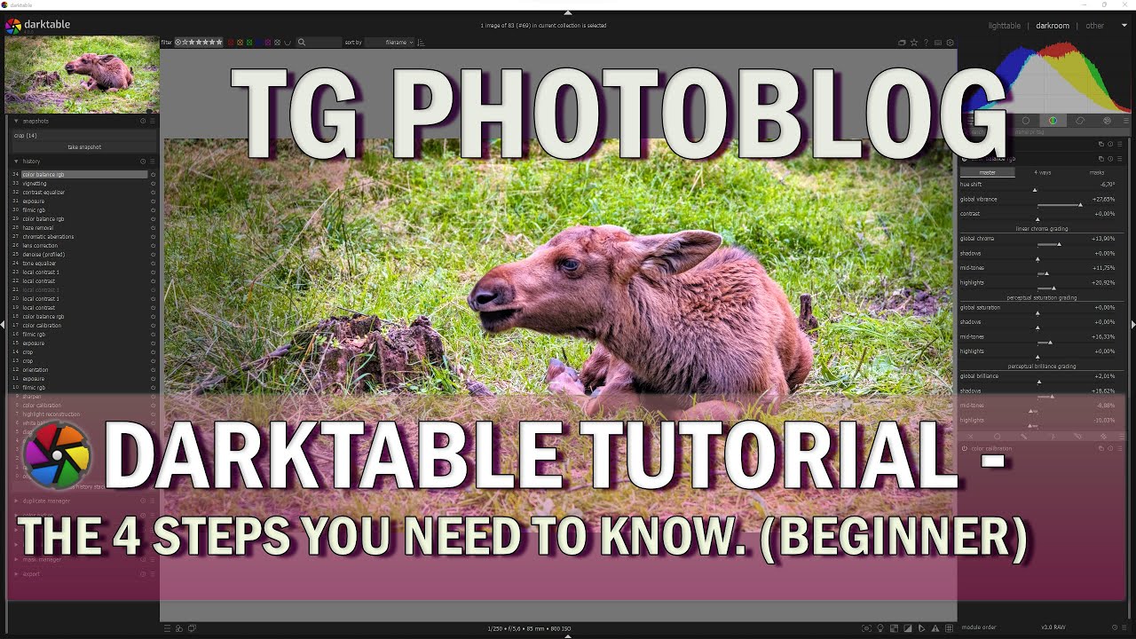 Darktable Full Edit - Start With These 4 Simple Steps