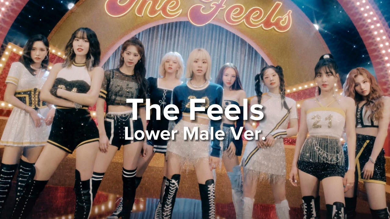 TWICE - The Feels (Lower Male Version)